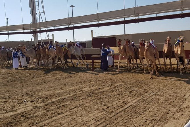 Half-Day Private Guided Camel Race Tour in Qatar - Camel racing at Al Shahaniya, and why the calendar matters