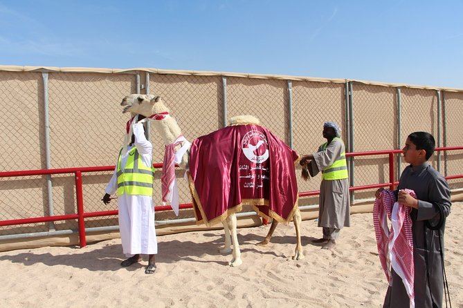 Half-Day Private Guided Camel Race Tour in Qatar - What “behind the scenes” really means at the track