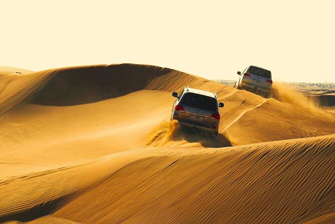 Half Day Safari Tour With Camel Ride and Sand Boarding in Doha - Key highlights that make this safari worth your time