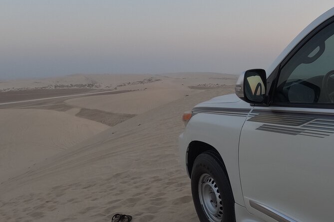Half Day Safari Tour With Camel Ride and Sand Boarding in Doha - Who should book this safari (and who should skip it)
