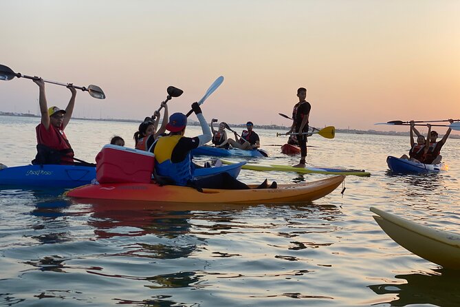 Kayak Through the Mangroves to the Purple Island - Kayaking Through Al Thakhira Mangroves to Purple Island: what makes it worth your time