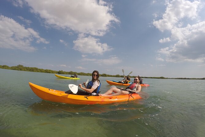 Mangrove Kayaking Purple Island Adventure - Mangrove channels and Purple Island, the real reason to book