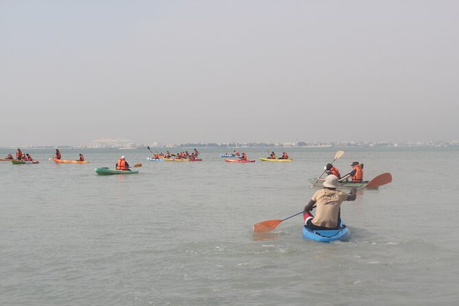 Mangrove Kayaking Purple Island Adventure - Group size: up to 50, what that means for the experience