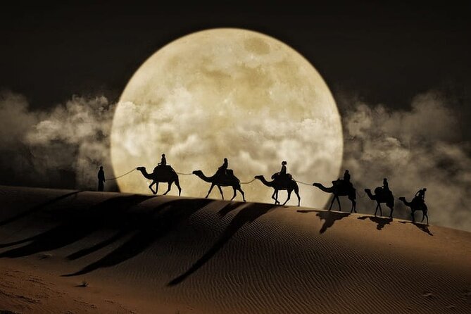 Night Desert Safari, Stargazing, Dune Driving & Inland Sea Visit - Key things I’d pay attention to