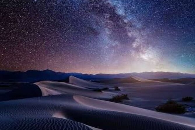 Night Desert Safari, Stargazing, Dune Driving & Inland Sea Visit - Camp time, Bedouin-style moments, and the camel factor