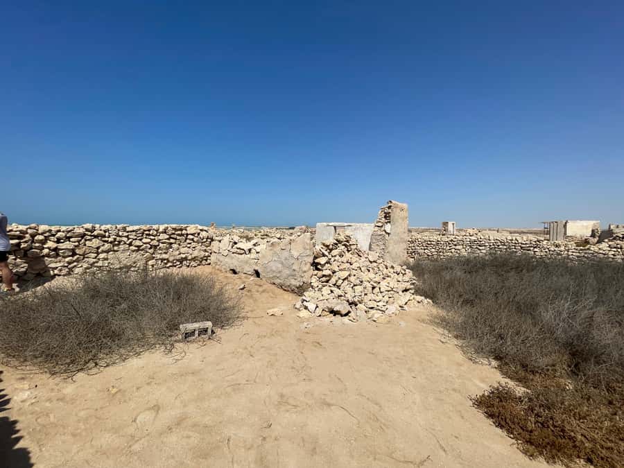 North of Qatar: Olafur Eliasson Exibit, Zubara fort & jumail - Who should book this tour, and who might want a different plan