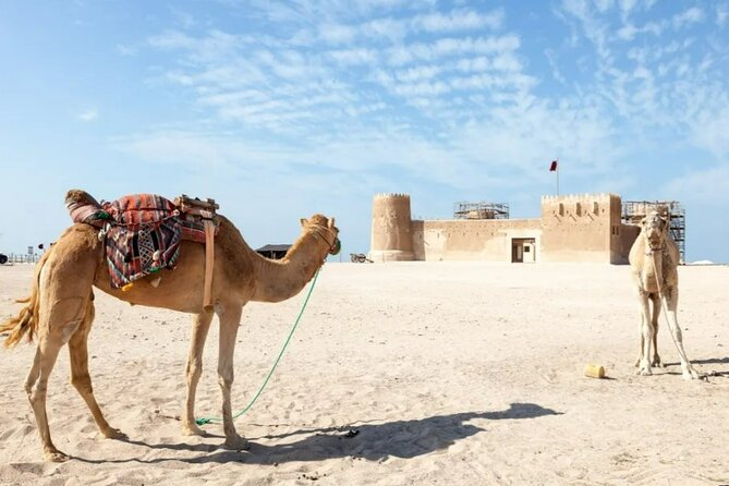 North of Qatar Tour to Olafur Eliasson Zubara Fort Jumail Village - Guide and driving: the difference between seeing sites and getting meaning