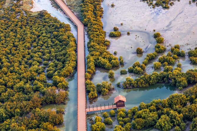 North of Qatar Tour, Zubara Fort, Mangroves, Jumail Village - North Qatar in 4 to 5 hours: why this route works