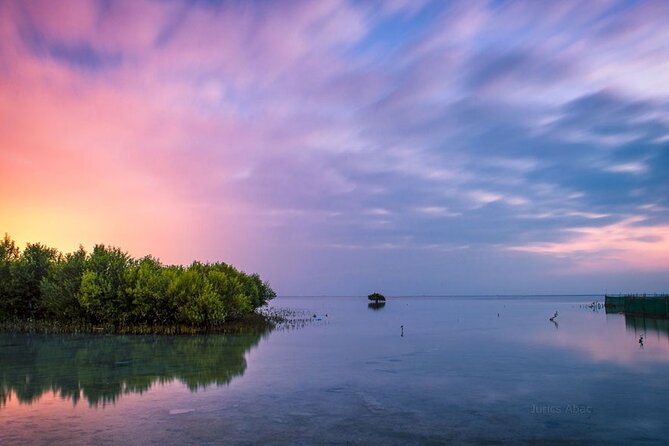 North of Qatar Tour, Zubara Fort, Mangroves, Jumail Village - Purple Island (Al Khor Island): calm mangroves and optional water time