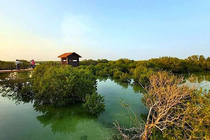 North of Qatar Tour|Zubara Fort, Purple Island & Mangroves Colony - Al Khor first, getting the setting of the north