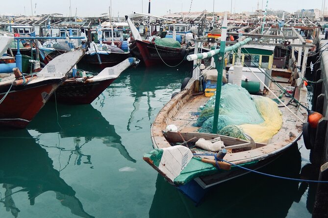 North Qatar Guided Expedition to Nature Charms - Key Highlights You Should Know Before You Go