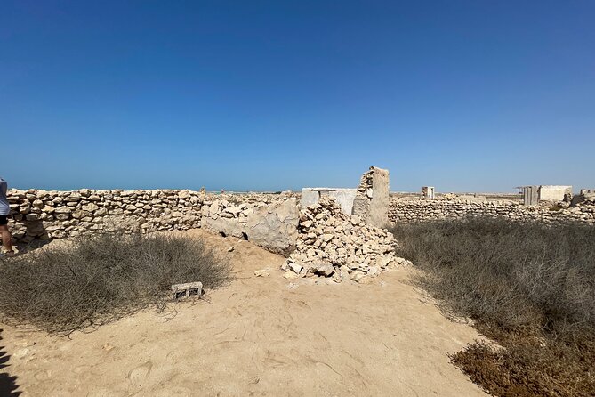 North Qatar Guided Expedition to Nature Charms - Stop Two: Purple Island Mangroves, Birdlife, and Shallow Lagoons