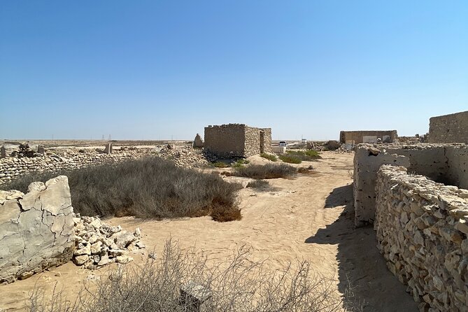 North Qatar Guided Expedition to Nature Charms - Stop One: Al Khor Old Harbour and Working Wooden Fishing Boats