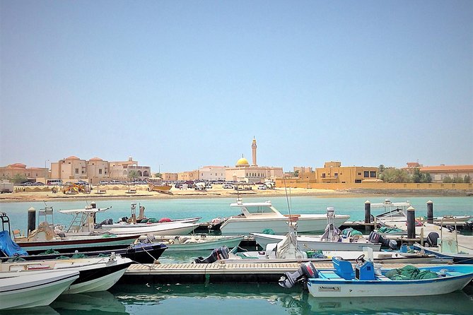 North Qatar Half-Day Tour: Al Zubarah, Purple Island & Mangroves - Practical Tips Before You Go