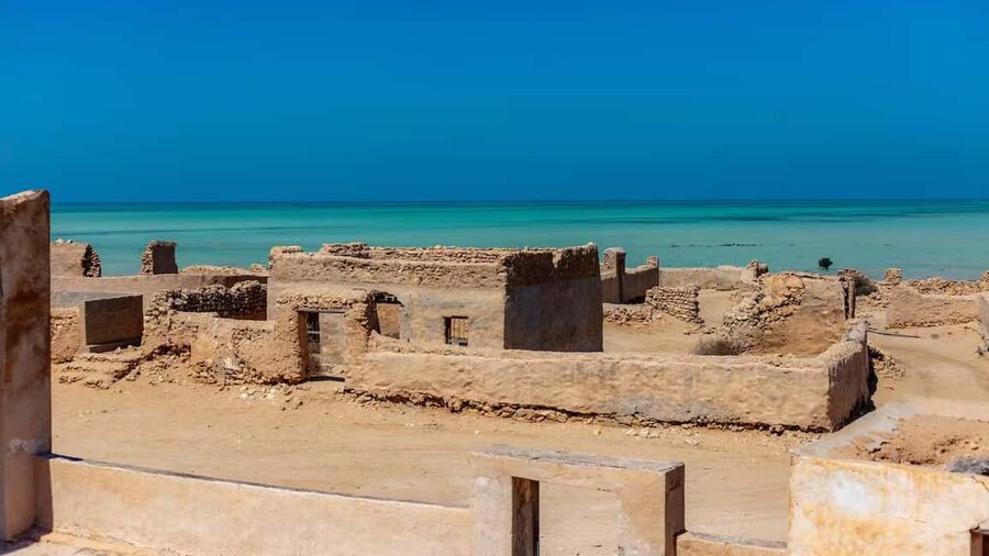 North Qatar: Zubara Fort, Jumail Village, Thakhira Mangroves - Al Thakhira Mangroves: a calmer pace with shade and wildlife chances