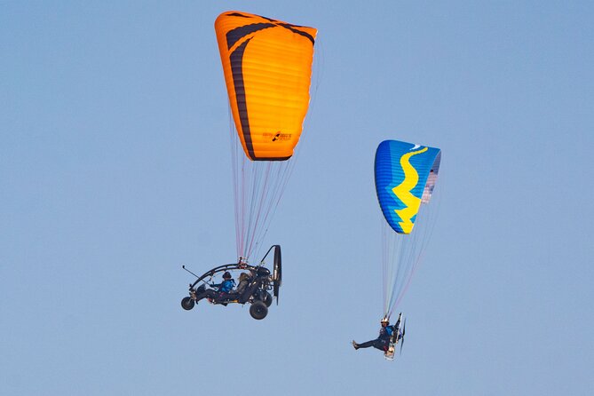 Paratrike Air Tour Doha - Key things I’d zero in on before you book