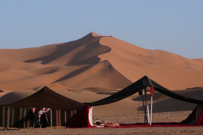Premium Full-Day Safari, Dune Bash, Camel Ride and BBQ Meal in Desert Camp - Key highlights to look for