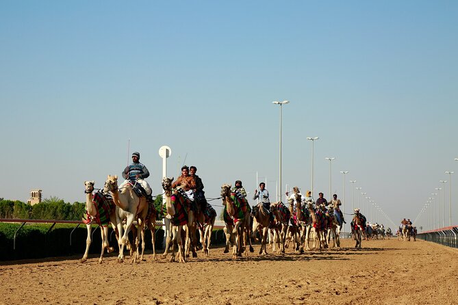 Private Combo North and West of Qatar Tour 8hours - Ash-Shahaniyya camel racing track: culture plus modern facilities