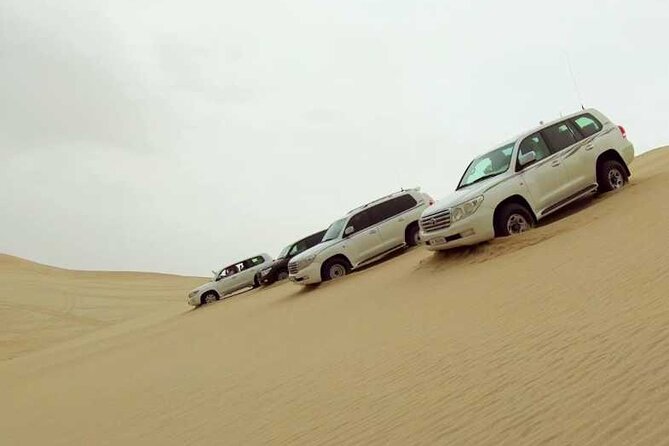 Private Desert Safari, Sand Dunes Bashing and Inland Sea Visit - Sealine Beach and Camel Base Camp: The Optional Ride You Control