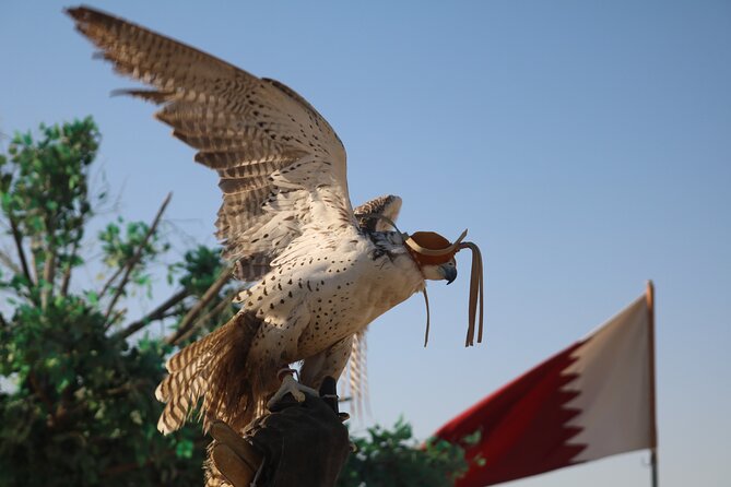 Private Desert Safari Tour 4 hours - Sealine Beach Sunrise: The Best Part of the Whole Morning