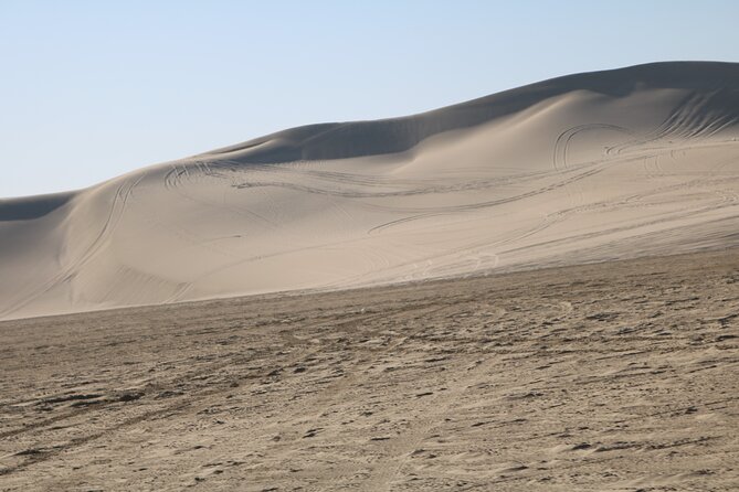 Private Desert Safari Tour 4 hours - Back at Sealine: Dune Bashing for the Adrenaline Hit