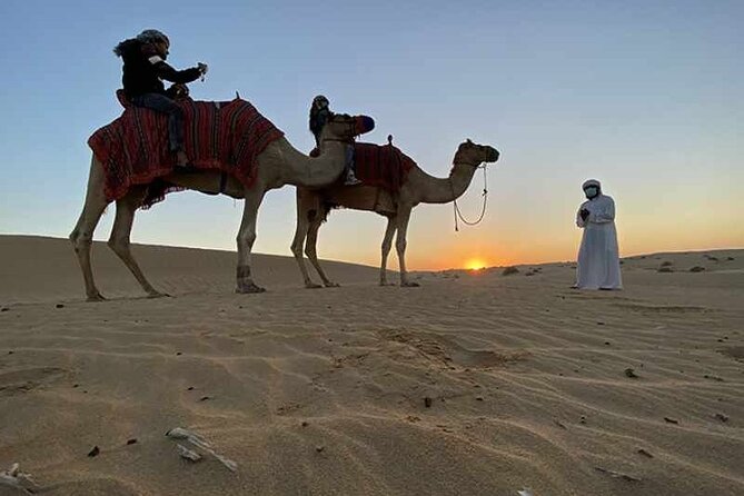 Private Doha City & Desert Safari Combo - Full-Day Adventure - Pearl Island and Katara: culture plus skyline, without the museum grind
