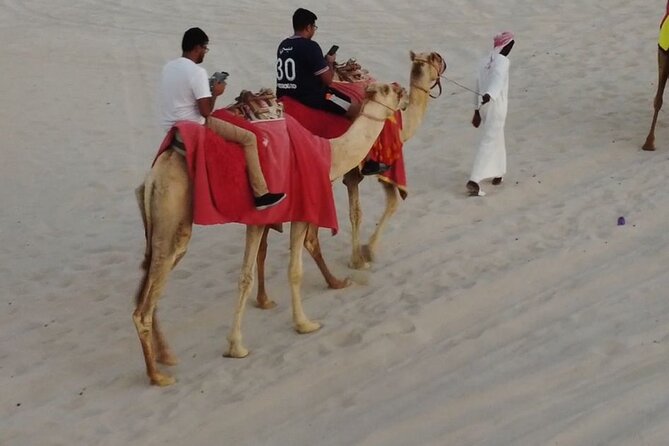 Private-Doha Horse Ride/Camel Ride/Quad Bike All Inclusive Tour - Key Highlights to Know Before You Go