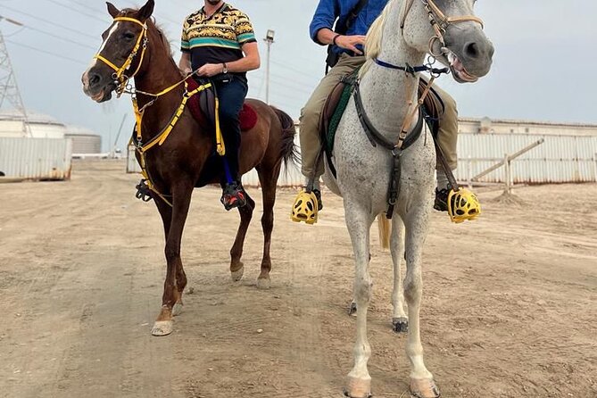 Private-Doha Horse Ride/Camel Ride/Quad Bike All Inclusive Tour - Quad Bike Time: 30 Minutes on a 250cc Self Drive Circuit
