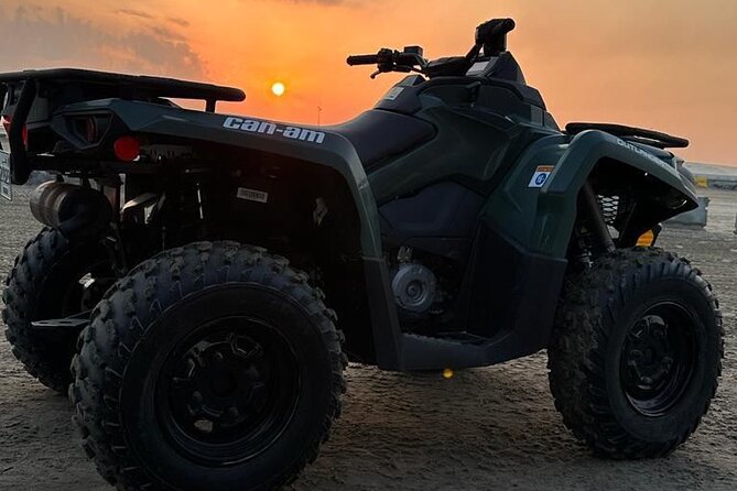 Private-Doha Horse Ride/Camel Ride/Quad Bike All Inclusive Tour - Your Route: Mesaieed for the Desert Fun, Then Sealine Beach