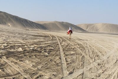 Private Dunes Bashing | Desert Safari | Sand Boarding