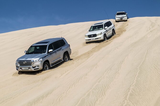 Private Full Day Desert Safari - Stop 2: Sealine Beach Road and the optional add-on choices