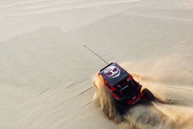 Private Full Day Desert Safari Dinner and Camel Ride in Doha - Key Highlights to Know Before You Go