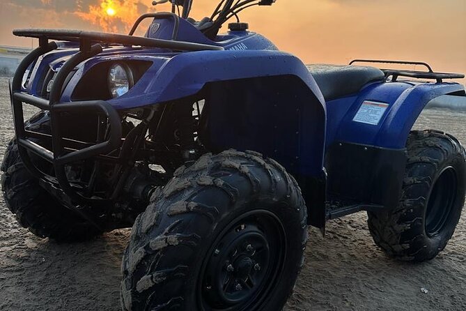 Private Full Day Desert Safari Dinner and Camel Ride in Doha - Dune Bashing, Sandboarding, and the Desert Activities That Matter