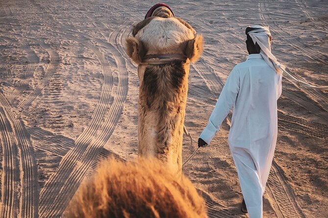 Private Full Day Desert Safari Dinner and Camel Ride in Doha - Price and Value: What You Get for $190 per Person
