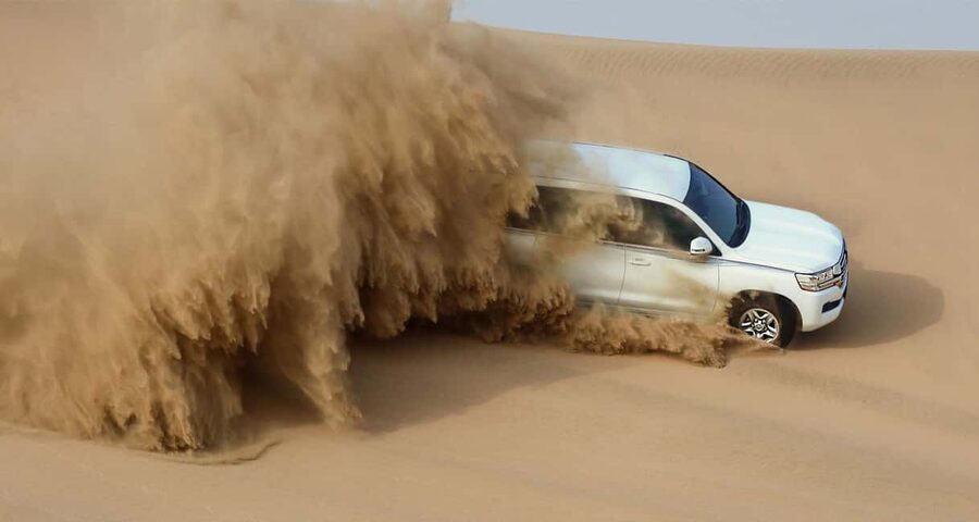 Private Full-Day Desert Tour - Key highlights you should know before you go