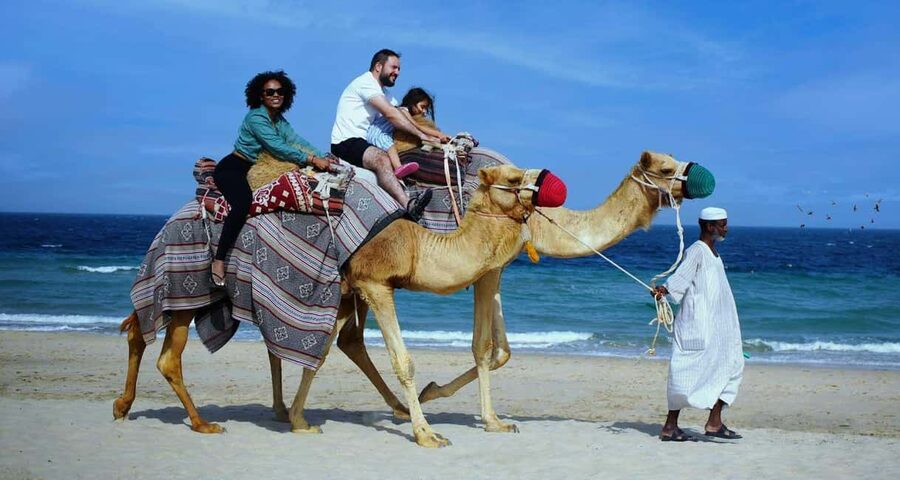 Private Full-Day Desert Tour - The real hook: why this full-day desert tour feels different