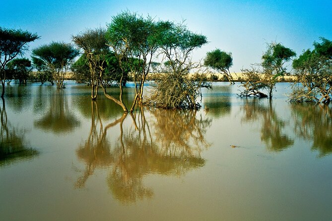 Private Full Day Guided Tour in Qatar North and West - Purple Island (Jazirat bin Ghanim): a short walk with a clever connection