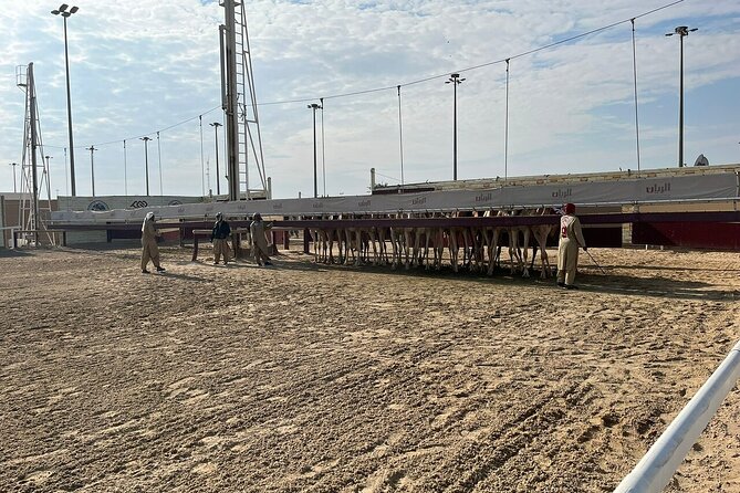 Private Full Day Guided Tour in Qatar North and West - Al Jumail: pearling and fishing village heritage, up close