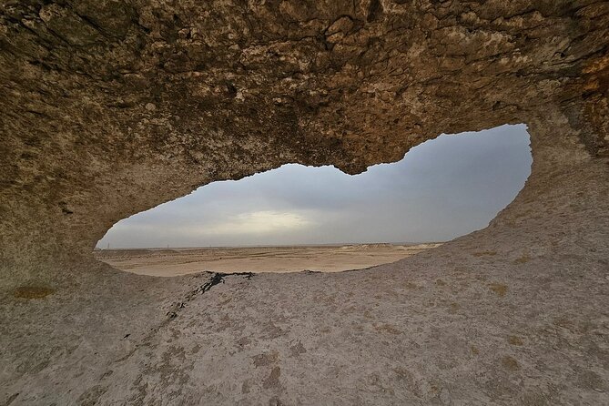 Private Full Day Guided Tour in Qatar North and West - Al Shahaniya Racetrack: camel racing culture and training rhythms