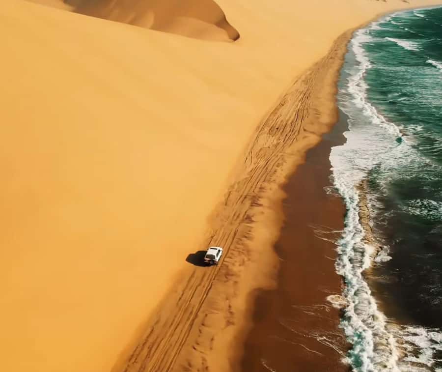 Private Gentle Sands Desert Experience Without Dune Bashing - Singing dunes, falcons, and the Inland Sea in one outing