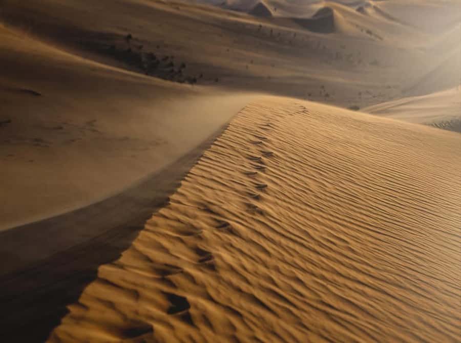 Private Gentle Sands Desert Experience Without Dune Bashing - The 4x4 ride and how to handle the adrenaline