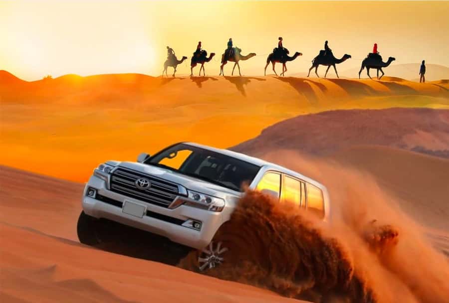 Private Gentle Sands Desert Experience Without Dune Bashing - Singing sand dunes: what you should plan for on the ground