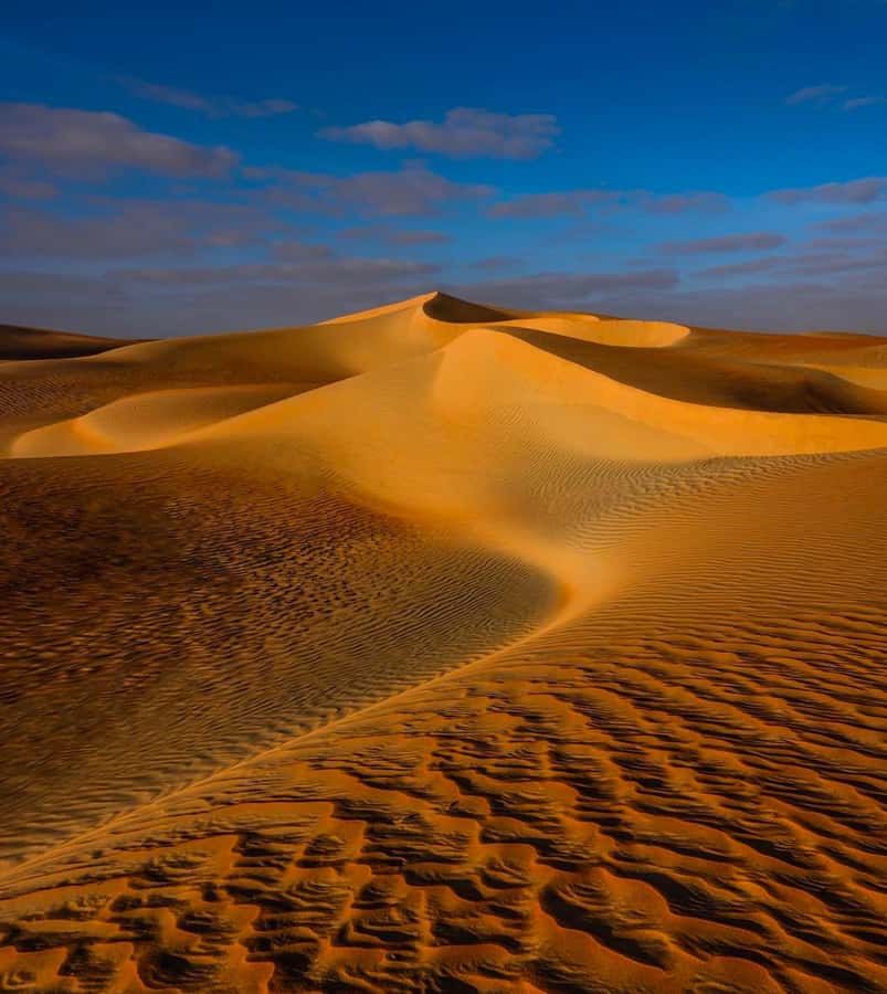 Private Gentle Sands Desert Experience Without Dune Bashing - Inland Sea Beach time, including swimming