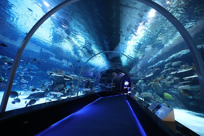 Private Hamad Port Tour in Mesaieed |Aquarium |Maritime Museum - Key Things You Should Know Before You Go