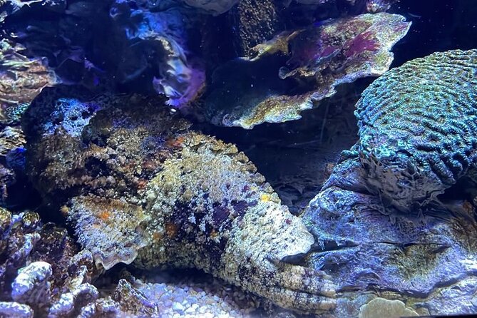 Private Hamad Port Tour in Mesaieed |Aquarium |Maritime Museum - Touch Tank and Mangrove Lessons You Can Actually Use