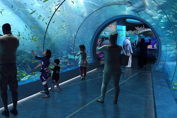 Private Hamad Port Tour in Mesaieed |Aquarium |Maritime Museum - 4D Cinema: Motion-Based Storytelling of Port Life