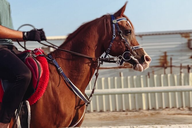 Private Horse and Camel Riding Experience in Doha - Key things that make this Doha desert ride worth your time