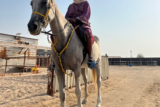 Private Horse and Camel Riding Experience in Doha - Sunrise or sunset in the Doha desert: when the timing choices pay off