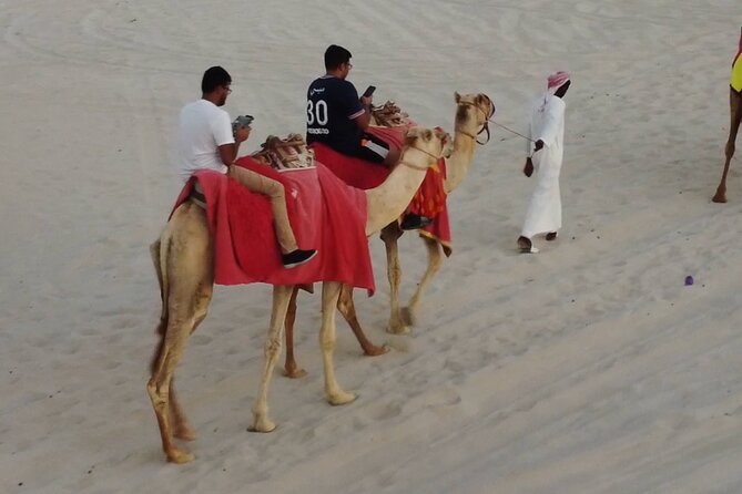 Private Horseback Riding Experience in Doha - The 3-Hour Plan: How the Ride Likely Flows