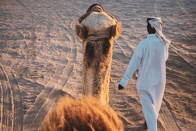 Private Horseback Riding Experience in Doha - How to Get Ready So You Enjoy the Saddle Time